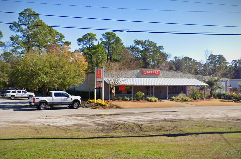 sapelo_brunswick_location_edited.jpg