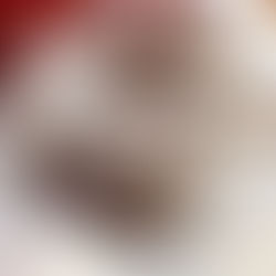 とうとうこの5月に。