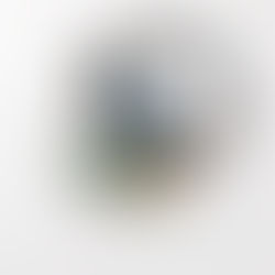ラスト1日