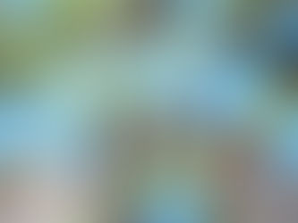 え、もう？