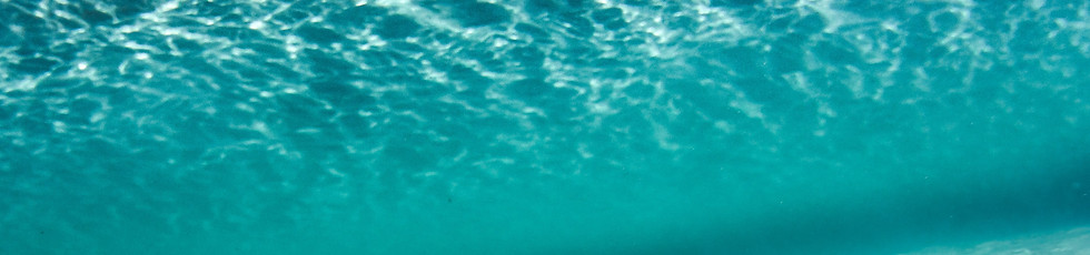 Underwater Wave View