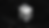 sctwvrlogo-web.png