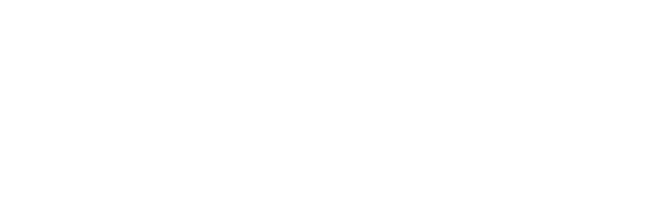 Fenix Group.png