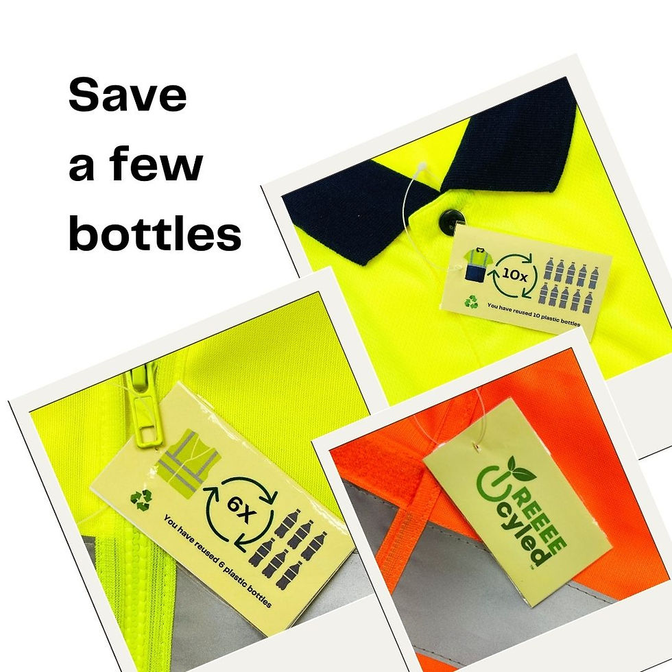 EcoViz 230817 (7).jpg