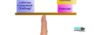 Equilibrio energético y composición corporal: Claves para optimizar tu rendimiento