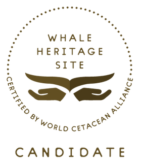 HeritageSite_logo_CANDIDATE.png