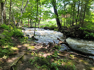 riviere des loutres