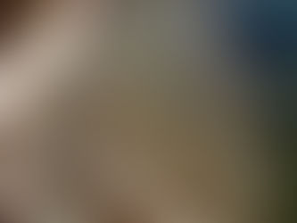 Wandering Through Narratives : The Philosophy of Story