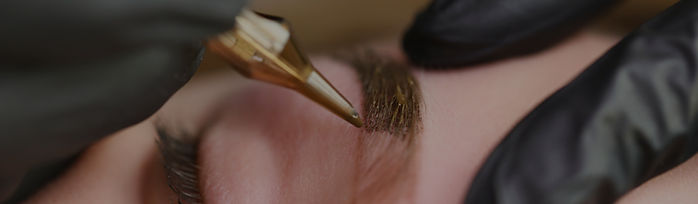 anabrowsmaker in Orlando fl