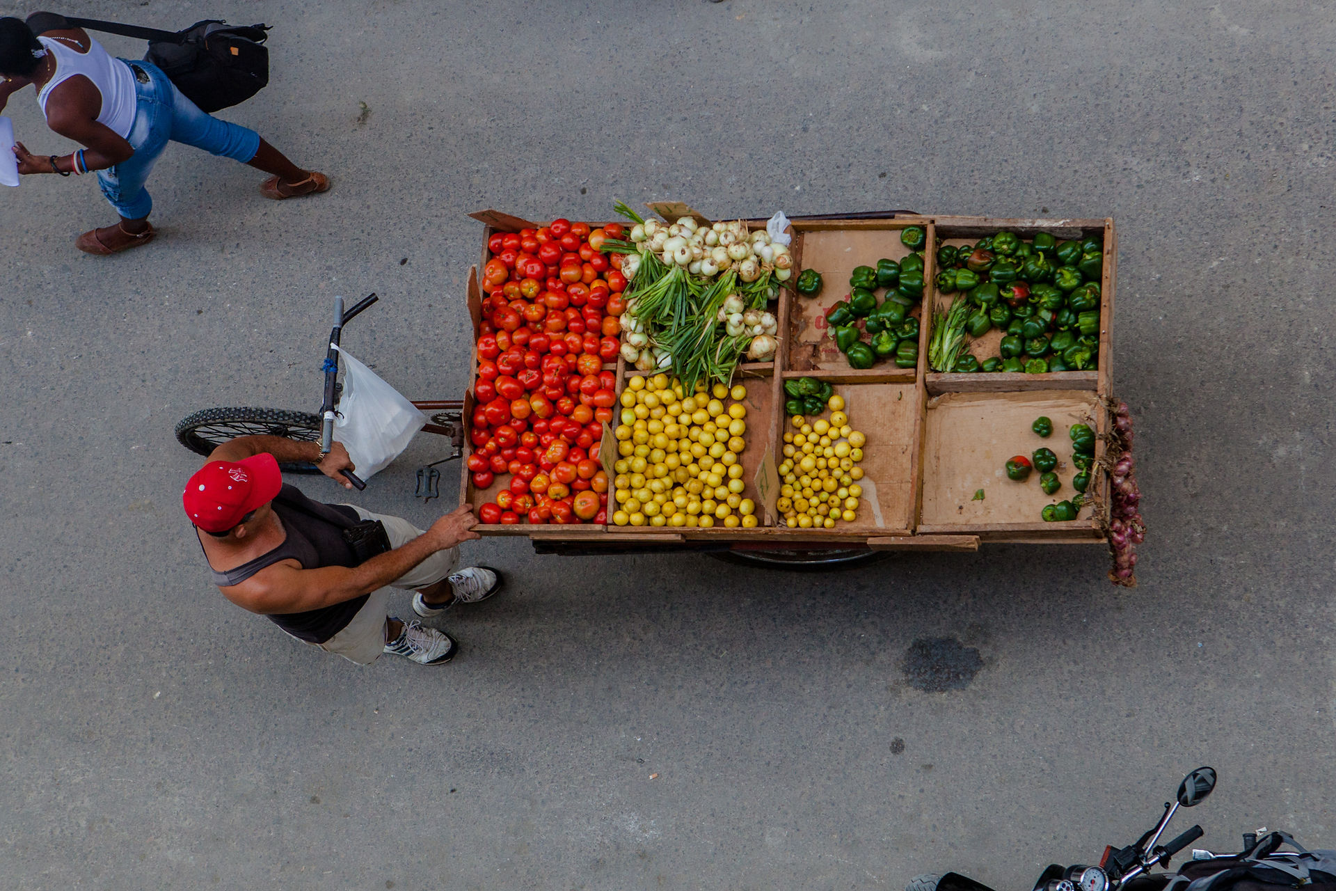 A produce bounty