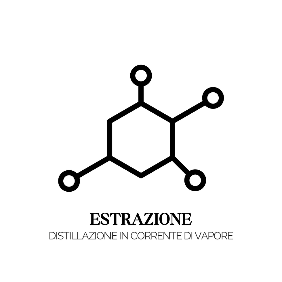 Miniatura: IDROLATO ROSMARINO