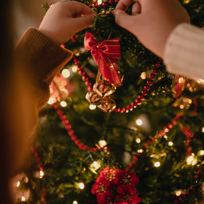 La magia del Natale con l'olio essenziale di Pino