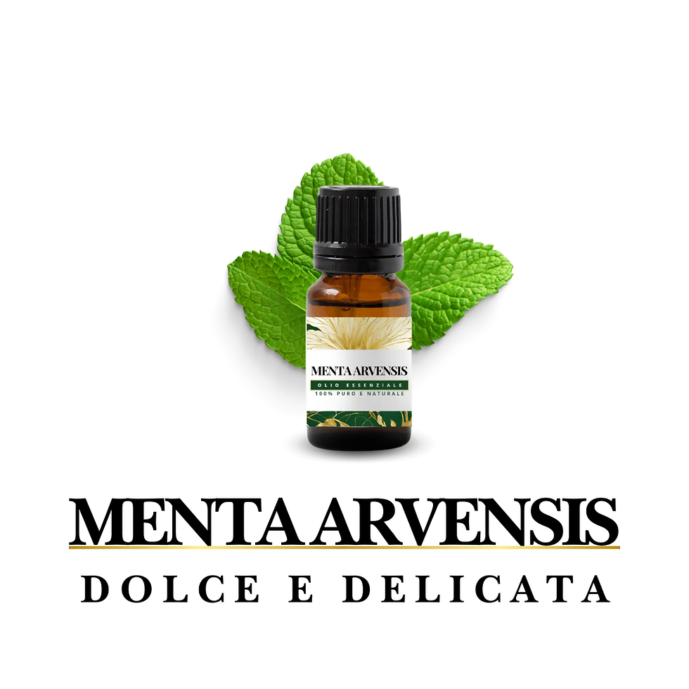 OLIO ESSENZIALE MENTA ARVENSIS