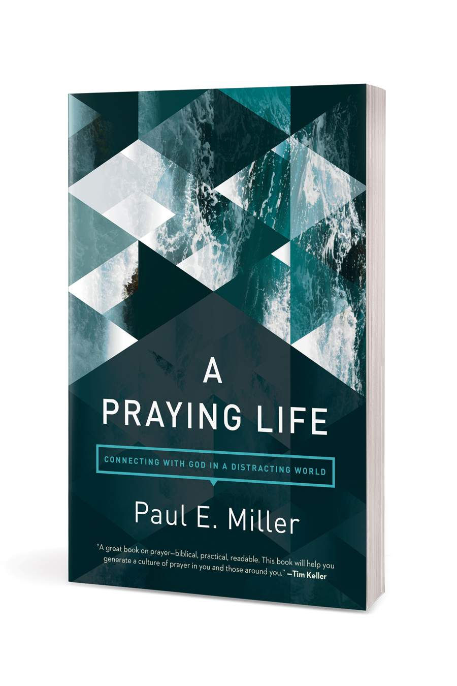 Thumbnail: A Praying Life