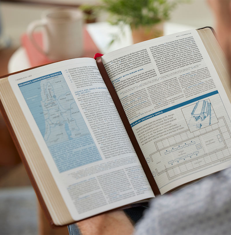 Thumbnail: The MacArthur Study Bible, 2nd Edition, LSB