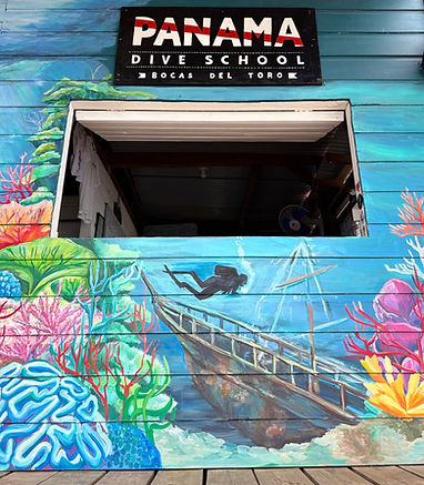 PANAMA DIVE SCHOOL RECEPTION ART BY SOFIE
