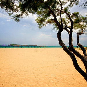 paros