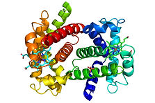 Proteins_Content.jpeg