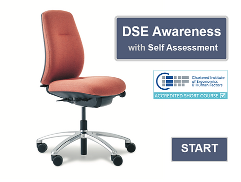 DSE Awareness SA title screen.png
