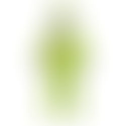 KINSELLA: Ottawa 'freedom fighters' think they know more than experts - Rebuttal