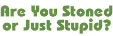 Are You Stoned Or Just Stupid?