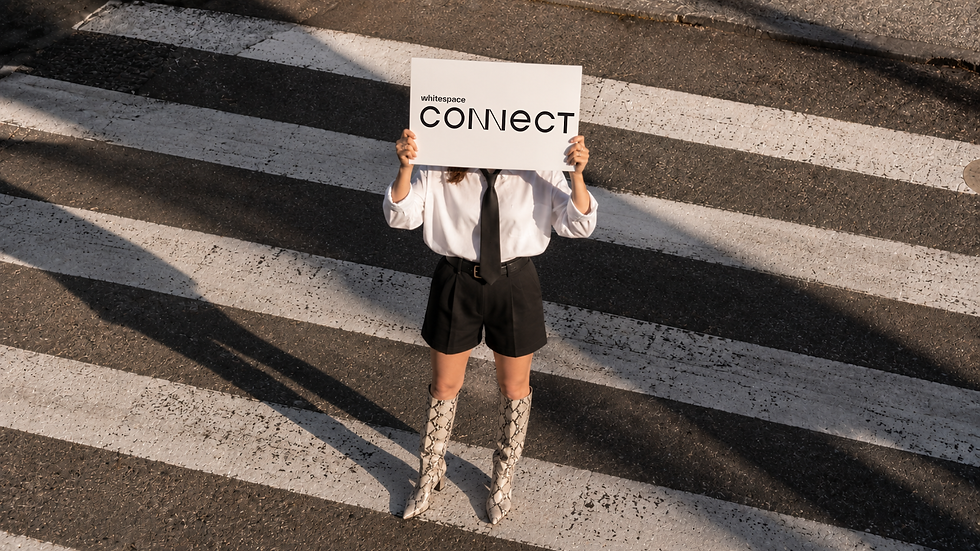 Whitespace Connect conversion rate optimization campaign creation using performance marketing to reach the right audience
