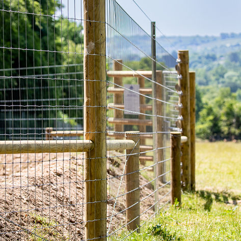 Bampton Bark Park Secure Fence