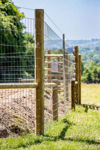 Bampton Bark Park Secure Fence
