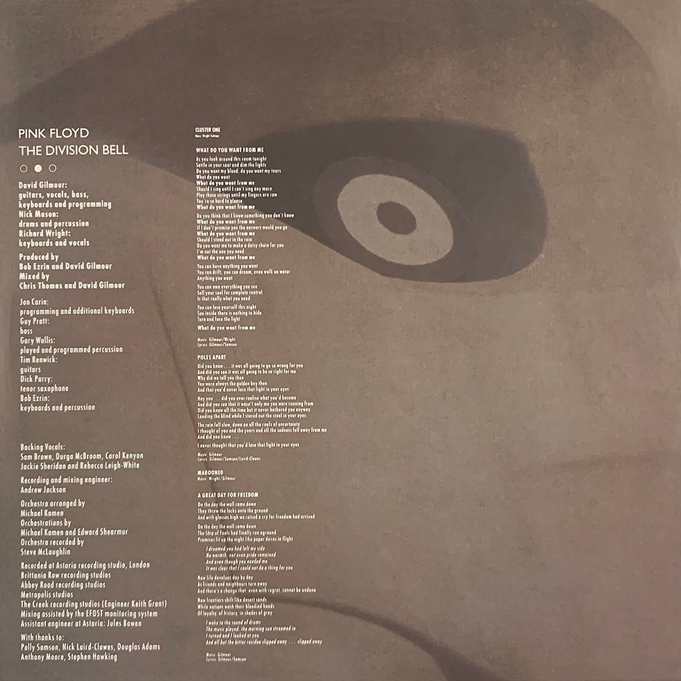 Miniatura: PINK FLOYD LP The Division Bell (180 Gram Heavyweight Vinyl)