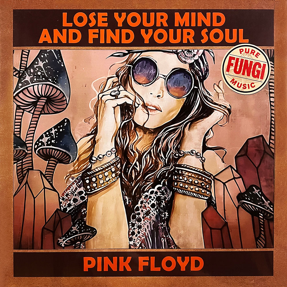 PINK FLOYD LP Lose Your Mind And Find Your Soul (Pure Fungi Music)