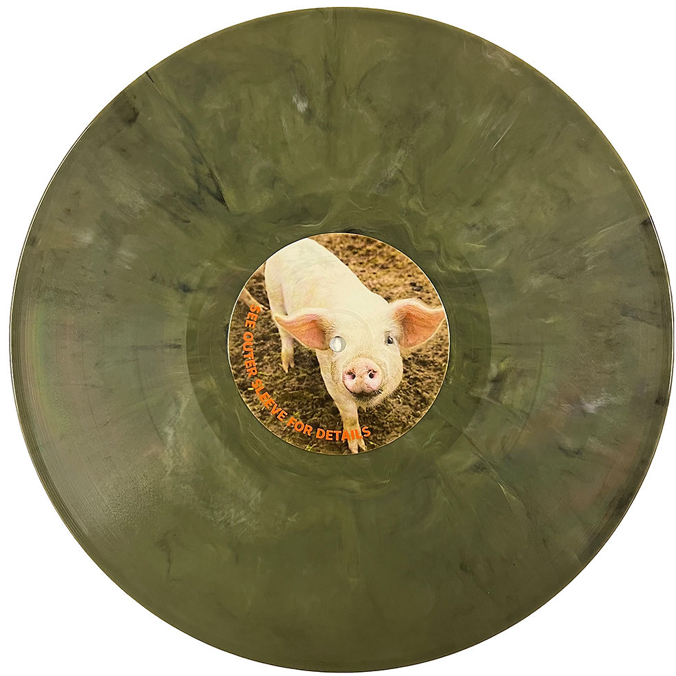 Miniatura: PINK FLOYD 2xLP In Japan - Incident At Hakone (Blue & Green Marbled Vinyls)