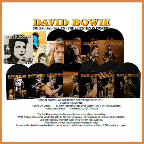 DAVID BOWIE CD11枚セット david-bowie-david-bowie-deluxe