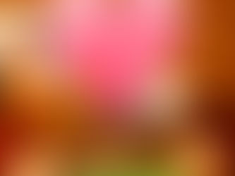 第2号♡
おめでとうございます！