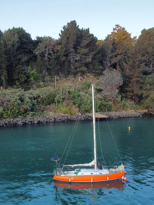 Want to go sailing this summer?