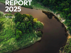 Global Tipping Points Repor
