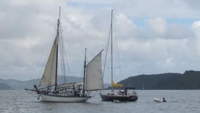 Sailing Update February 2023