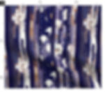 The Botanical Inlay 4 in Midnight Blue by Marta Rusin Fat Quarter