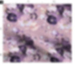 The Maison Bloom 3 in Blush by Marta Rusin Fat Quarter