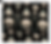 Shell Nouveau 3 Midnight Pine by Marta Rusin Fat Quarter