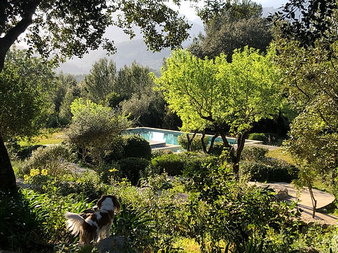 Garden & Pool.jpeg