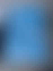 הדפס שמש בוטני