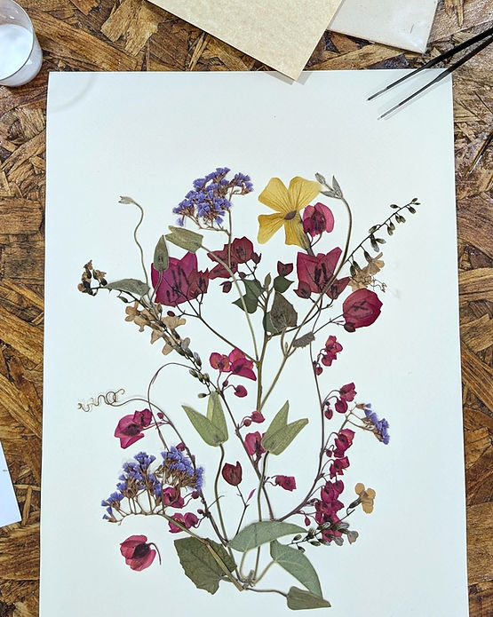 PXL_20251013_104310738~2_edited_edited.j