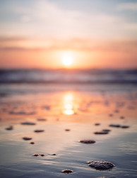 cole-keister-xMMh-VFGL9M-unsplash copy.j