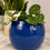 Thumbnail: Vintage Cobalt Blue Dansk Kobenstyle Enamelware Bowl