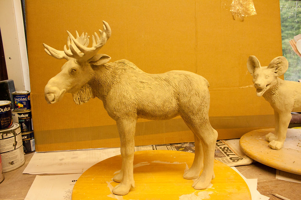 14 - Before first firing