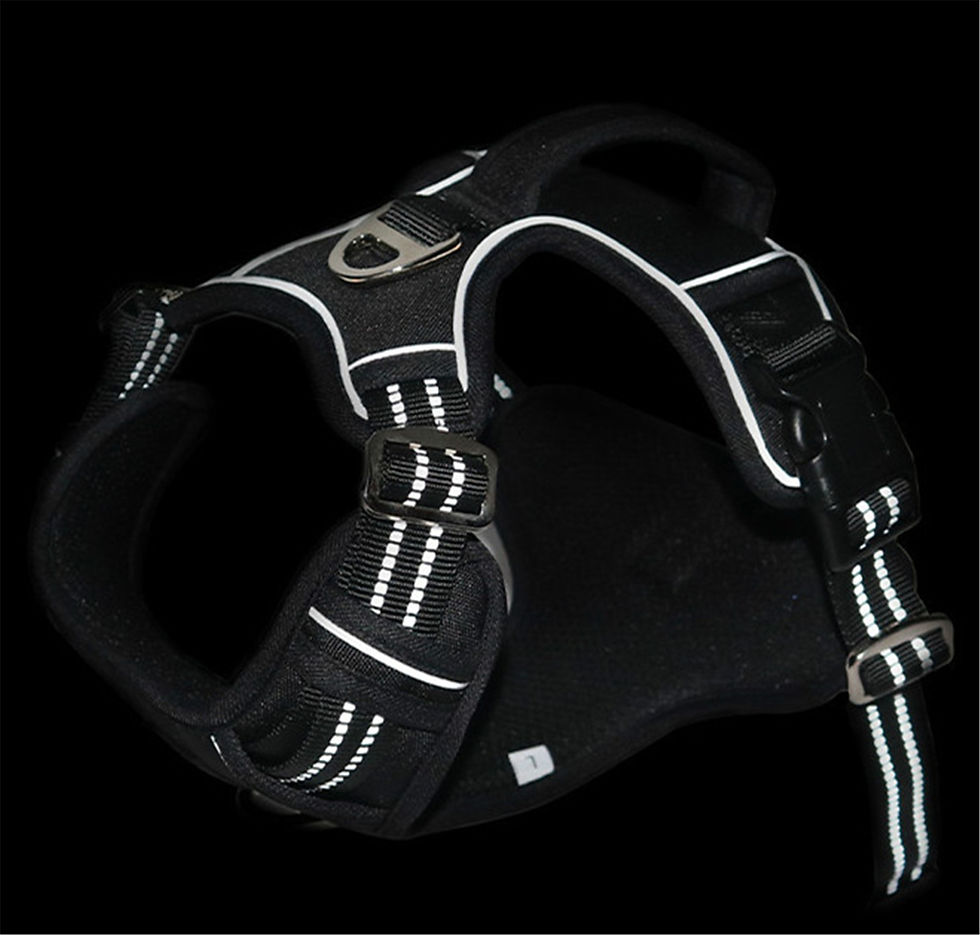 Thumbnail: Durable Waterproof Pet Harness with Vertical Handle