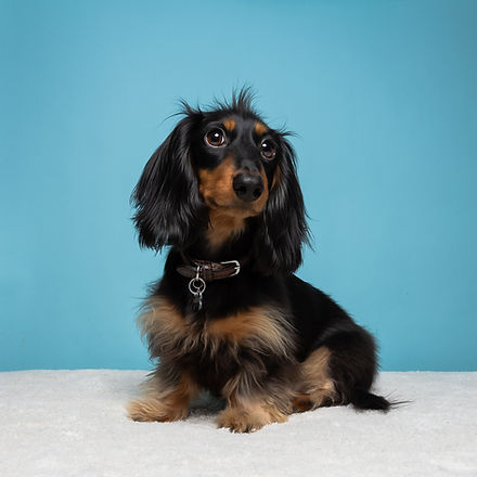 Humphrey 4-1.jpg