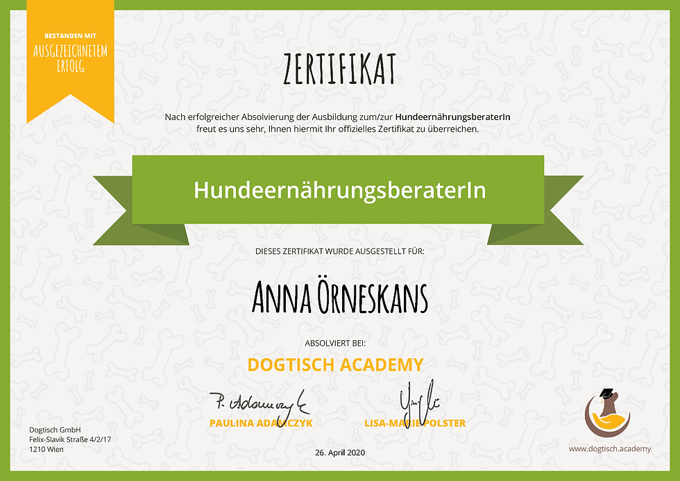 zertifikat_Anna_Örneskans (5).pdf