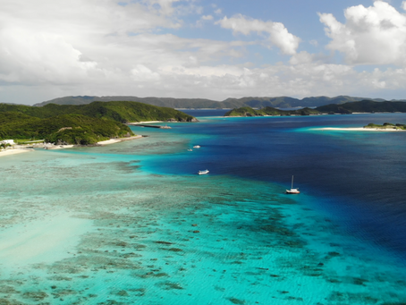 What to do on Zamami Island/How to spot sea turtles while snorkeling