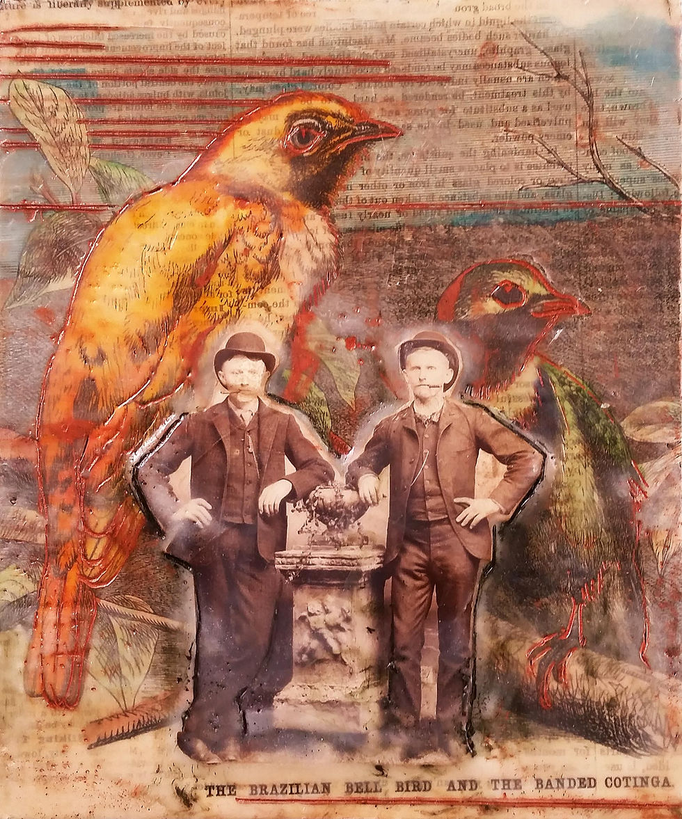 encaustic collage - rare birds